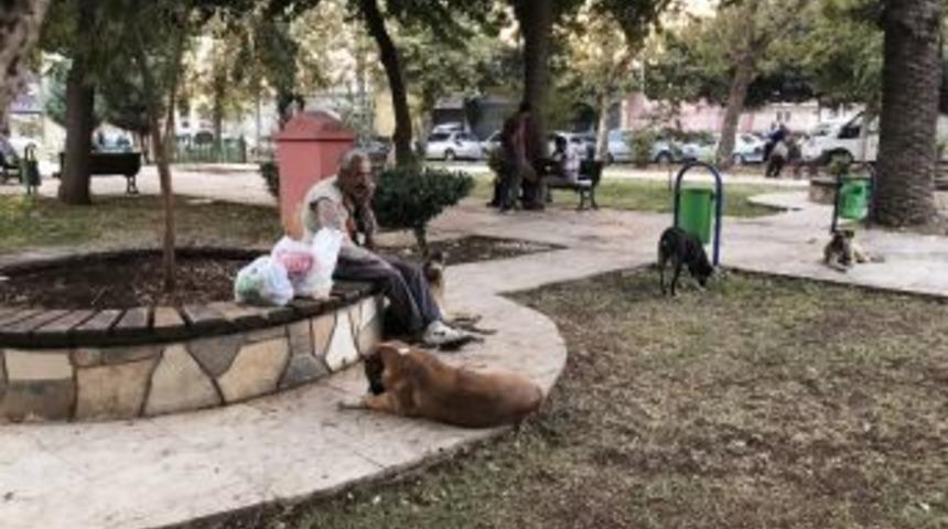 Adana&rsquo;daki Sokak K&ouml;pekleri Onun Yolunu G&ouml;zl&uuml;yor