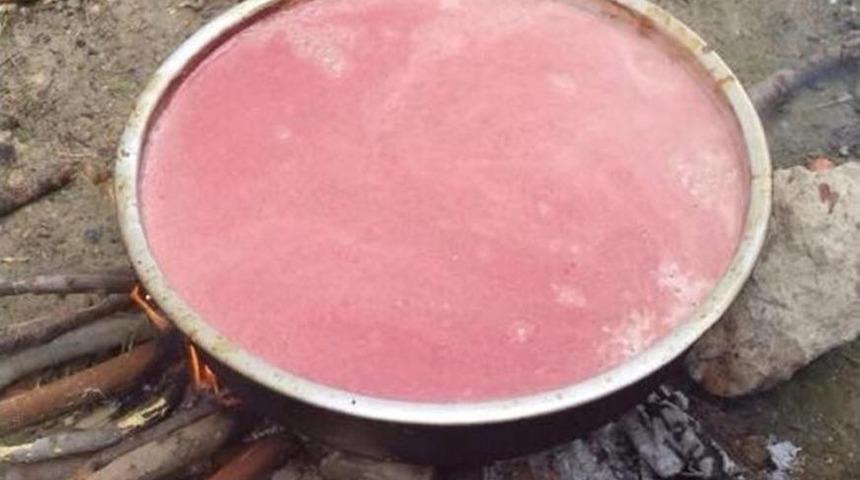 Mut&rsquo;ta Nar Ekşisi Sezonu Başladı