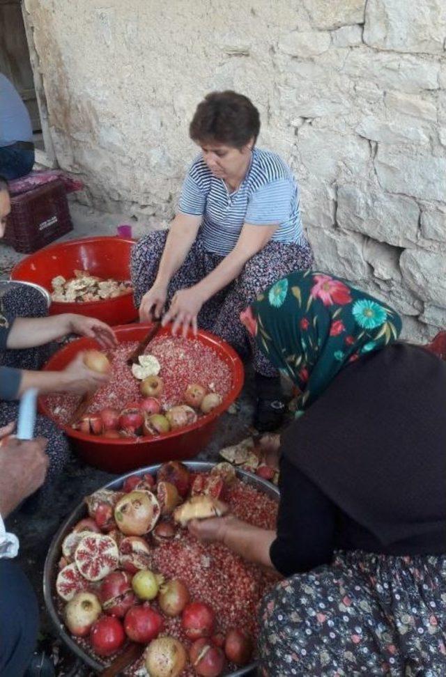 Mut’ta Nar Ekşisi Sezonu Başladı