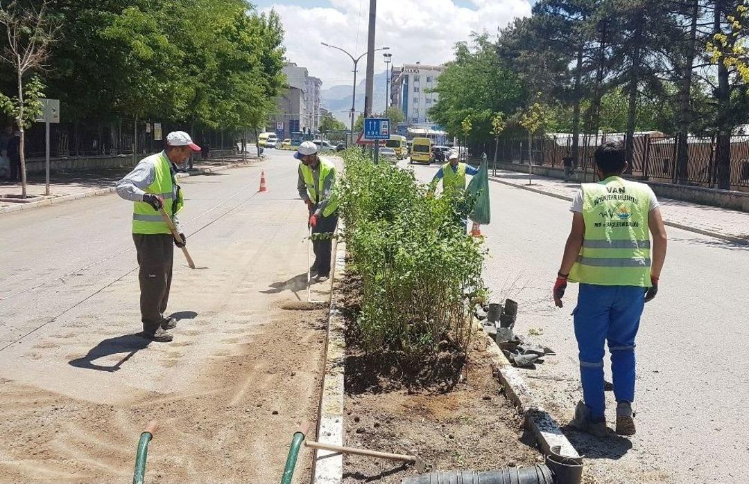 B&uuml;y&uuml;kşehir, Yeşil Bir Van İ&ccedil;in &Ccedil;alışıyor