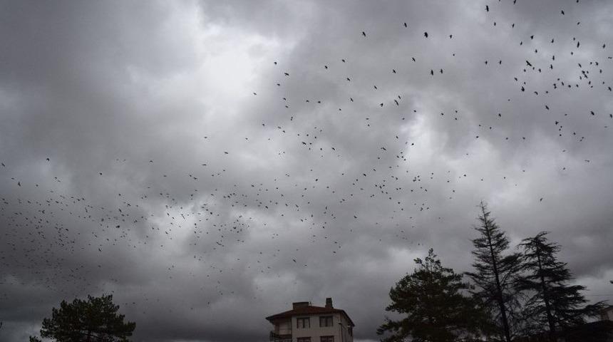 G&ouml;ky&uuml;z&uuml;nde Sığırcık Ş&ouml;leni