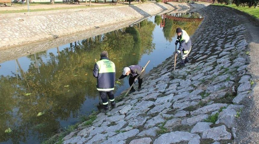 &Ccedil;ark Deresi G&uuml;nl&uuml;k Olarak Temizleniyor