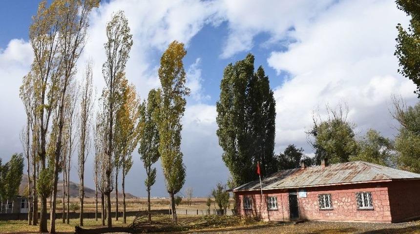 Sırada Bekleyen &Ouml;ğrencilerin &Uuml;zerine Ağa&ccedil; Devrildi: 1 &Ouml;l&uuml;, 4 Yaralı