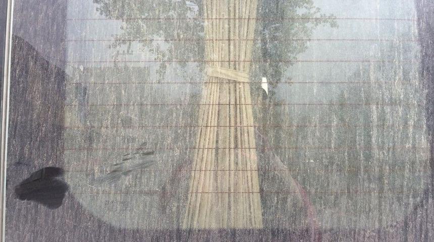 Beyt&uuml;şşebap&rsquo;ta &Ccedil;amur Yağdı