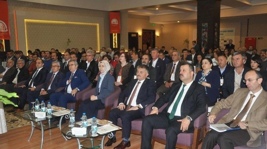 T&uuml;rkiye 15 Milyon Ceviz Ağacından 200 Bin Tonu Aşkın Ceviz Elde Ediyor
