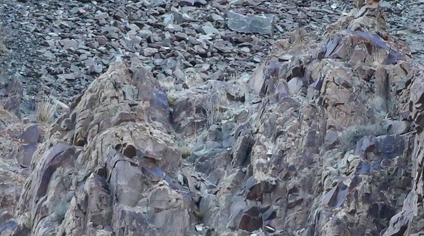 Onları siz de g&ouml;remeyeceksiniz