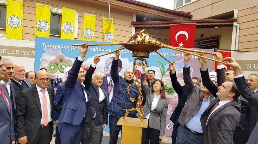 Yalova&rsquo;da Kivi Festivali