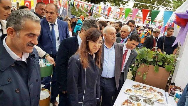 Yalova’da Kivi Festivali