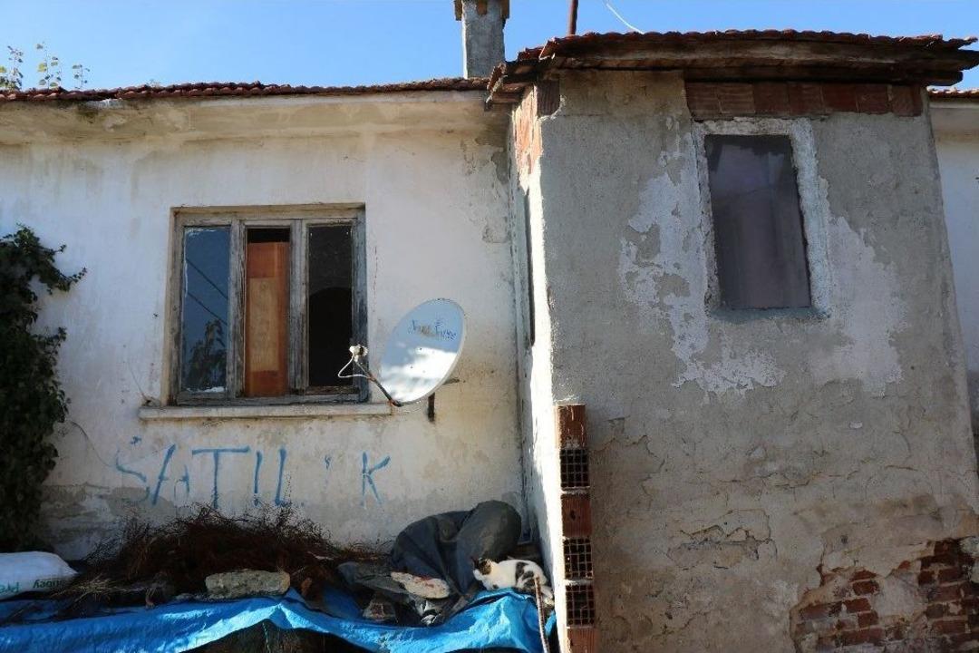 (&ouml;zel Haber) Domuz Bağıyla &Ouml;ld&uuml;rd&uuml;ler