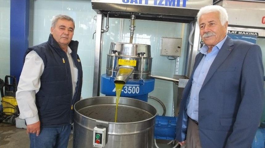 Zeytinde Y&uuml;ksek Verim Ve Kalite &Uuml;reticiyi Sevindirdi