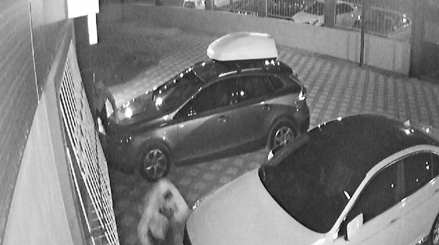 Komik Hırsız Gazetecilere Har&ccedil;lık Teklif Etti