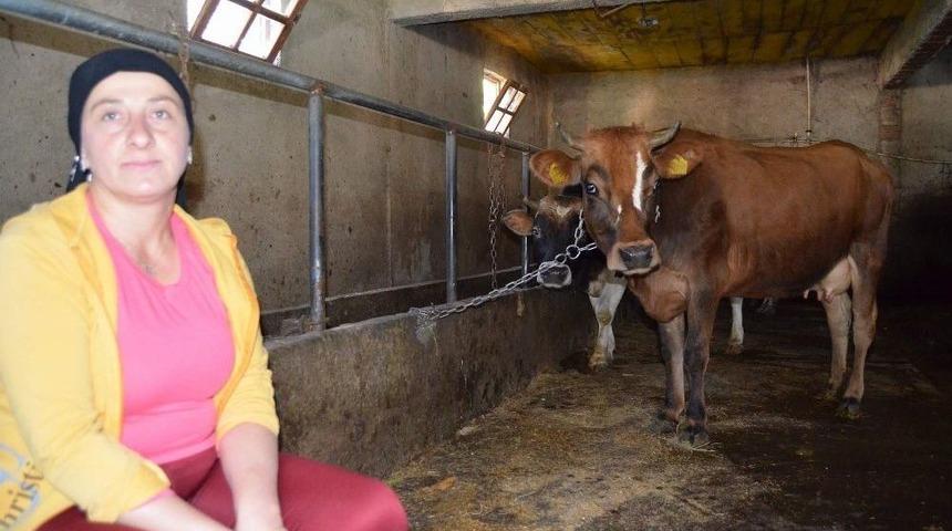 Tereyağı Siparişlerine Yetiştiremiyorlar