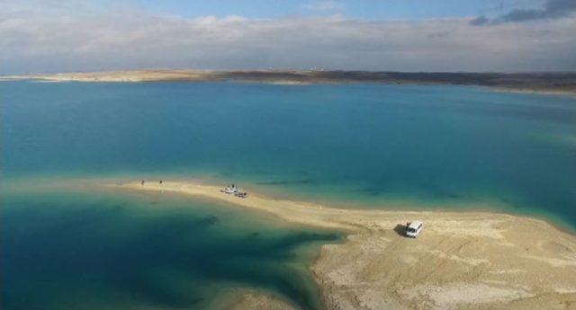 Uyuşturucu Bağımlılığına Dikkat Çekmek İçin Sazan Avlama Yarışması