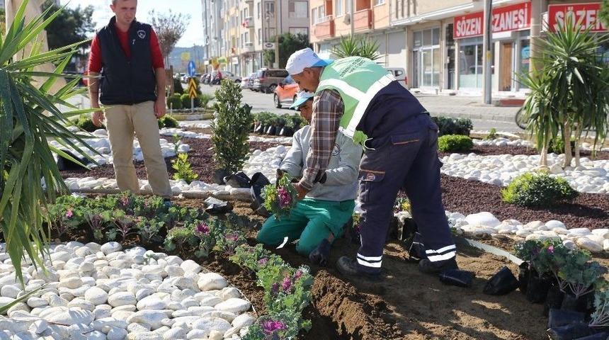 Burhaniye&rsquo;de Kavşaklara &Ccedil;i&ccedil;ek G&uuml;zelliği