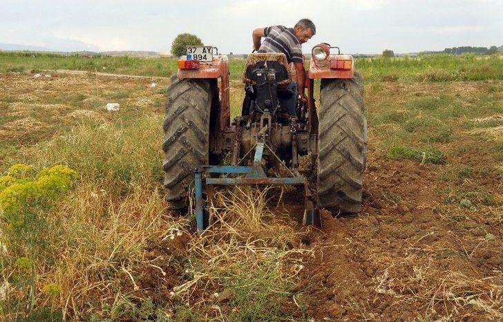 (özel Haber) Taşköprü Sarımsağında Fiyat Tartışması G2