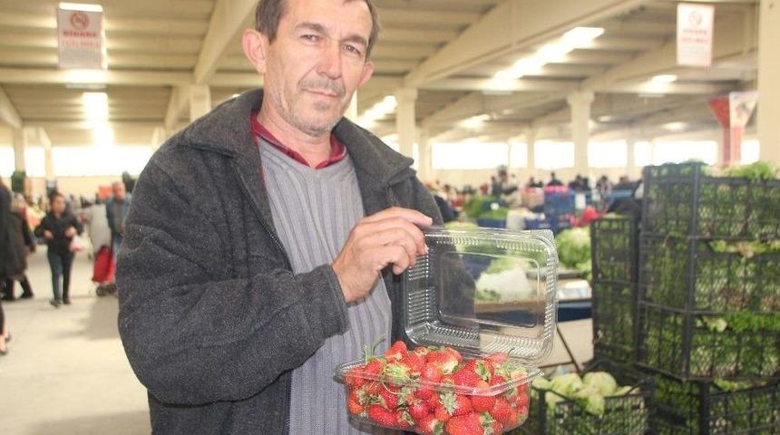 Tarla Çileğine 1 Haftada Yüzde 60 Zam Geldi