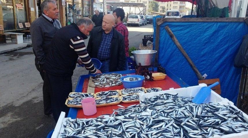 Hamsi Tahtını Geri Aldı