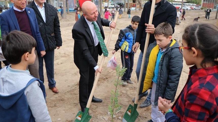 Öğrencilerin Büyüttüğü Fidanlar Toprakla Buluştu