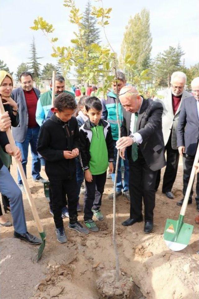 Öğrencilerin Büyüttüğü Fidanlar Toprakla Buluştu