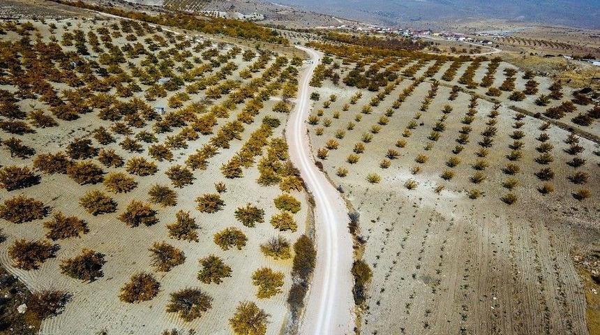 B&uuml;y&uuml;kşehir Belediyesi Ak&ccedil;adağ&rsquo;da Yoğun &Ccedil;alışıyor