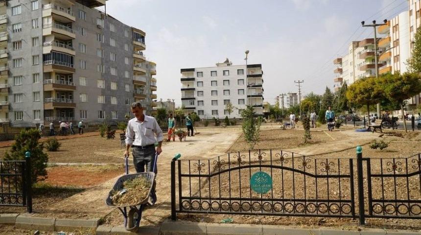 Parklara Kış Bakımı
