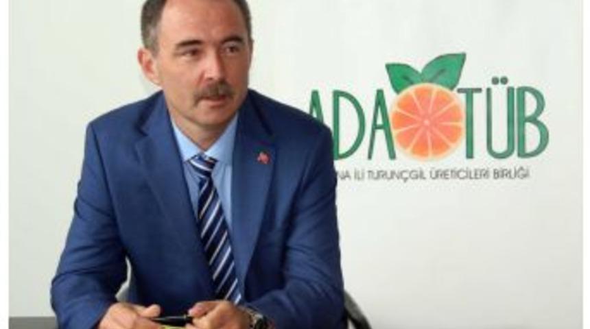 Karabucak: “çiftçi Rekabet Edemiyor, Turunçgilde Maliyetler Düşürülmeli”