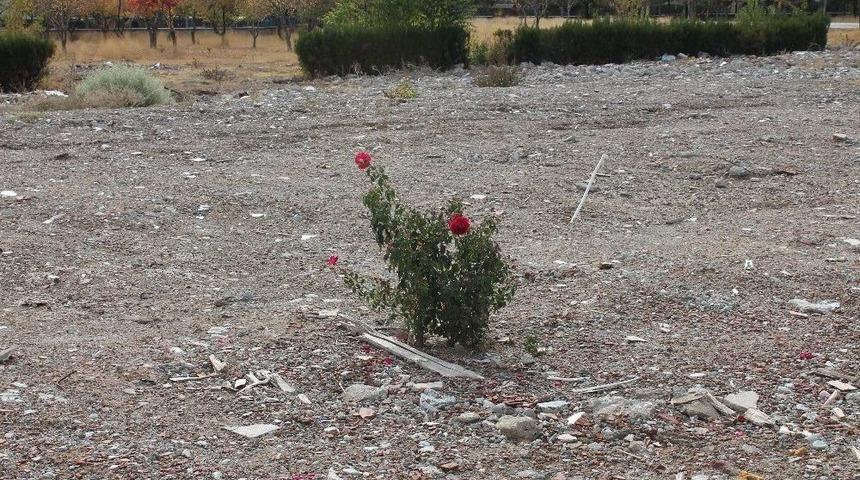 Erdoğan A&ccedil;ıkladı, 3 Şehit Verilen Yer "millet Bah&ccedil;esi" Oluyor