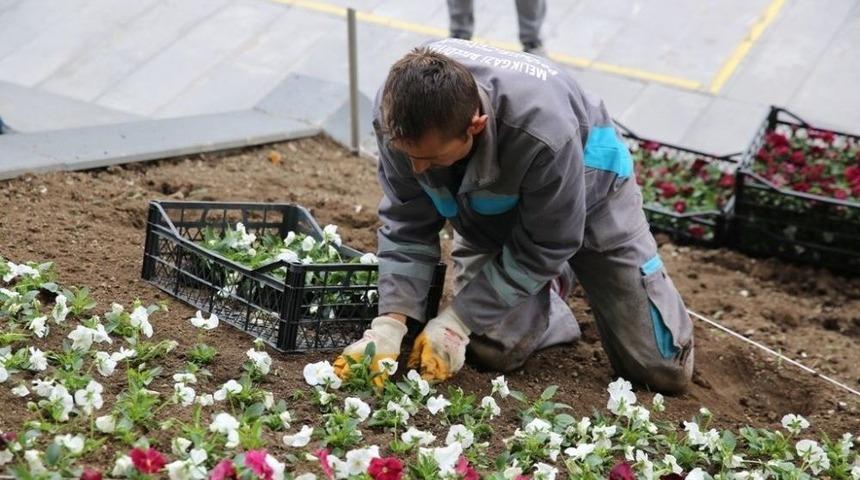 Melikgazi 40 Bin Adet Lale Soğanı Aldı
