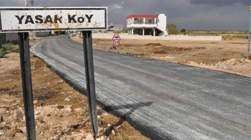 Suriye Sınırındaki Karkamış’ta Kuş Gribi Alarmı