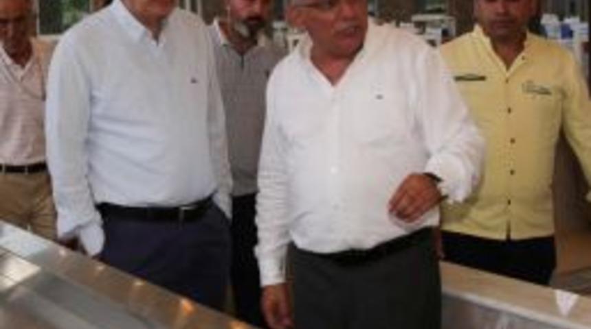 &rsquo;t&uuml;rel&rsquo;in İstifası İsteniyor&rsquo; Dedikodusu G&ouml;revden Aldırdı