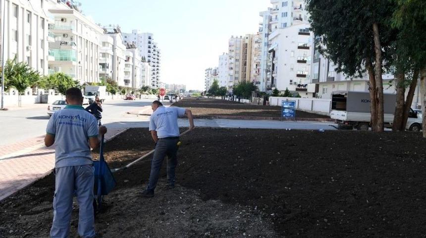 Hurma Mahallesi&rsquo;nde Yeşil Band &Ccedil;alışması