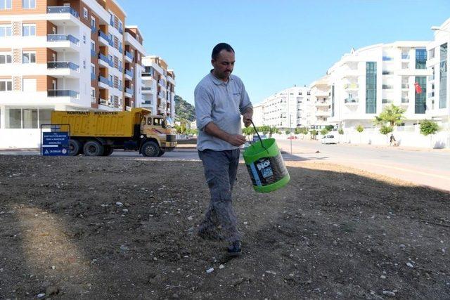 Hurma Mahallesi’nde Yeşil Band Çalışması