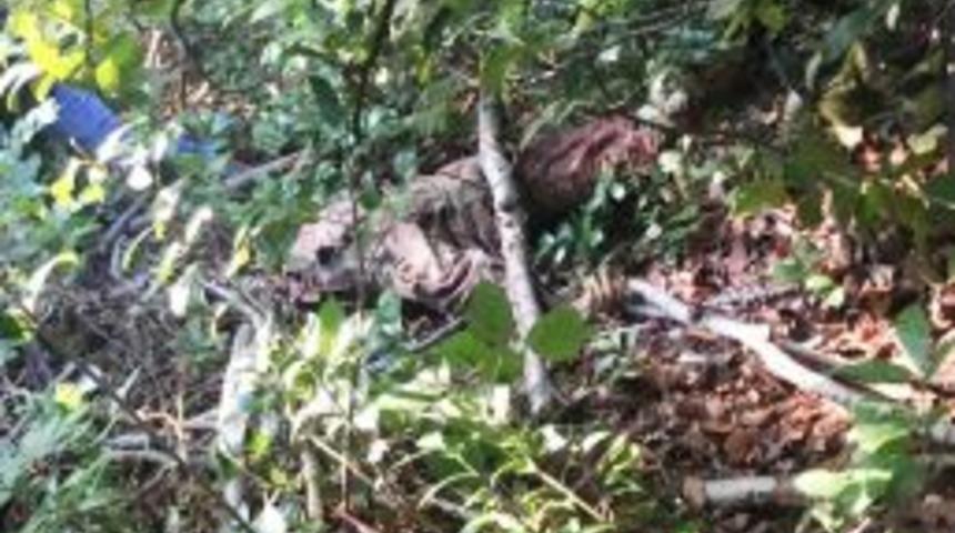 Avda Kazayla Arkadaşını Vurdu