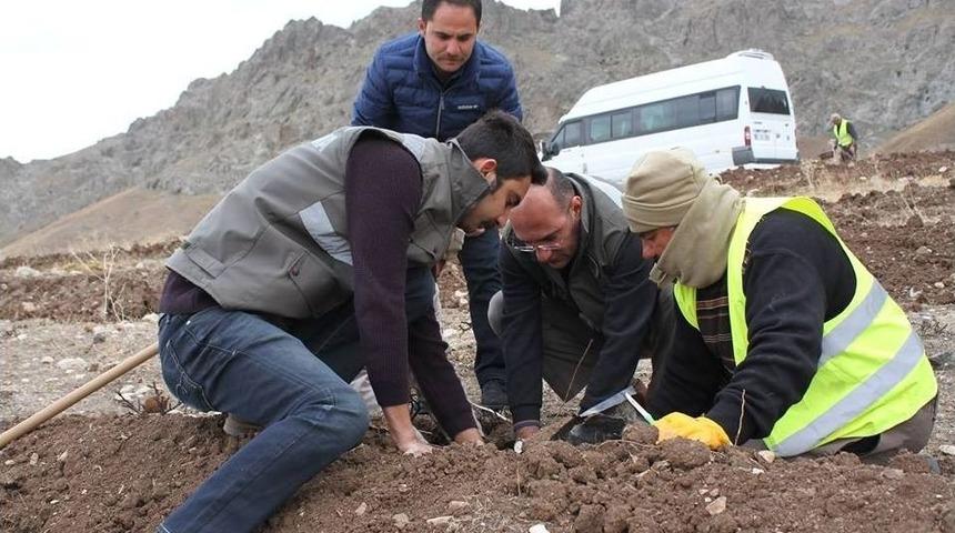 Yaban Hayvanları İ&ccedil;in Meyve Fidanı Diktiler