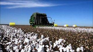 Aydın Tarımında 464,7 Milyon Tl’lik Zirai Gelir Artışı