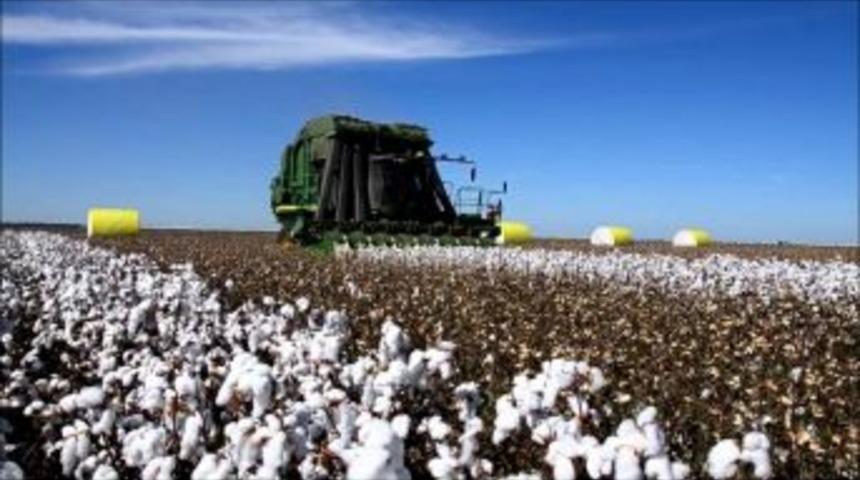 Aydın Tarımında 464,7 Milyon Tl’lik Zirai Gelir Artışı