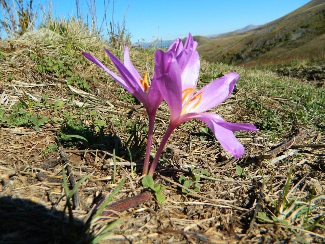 Posof&rsquo;ta Kış &Ouml;ncesi Renk C&uuml;mb&uuml;ş&uuml;