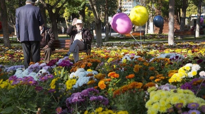 Sonbahar&rsquo;da 374 Bin 500 Adet Kasımpatı Ve Menekşe Dikimi Yapıldı