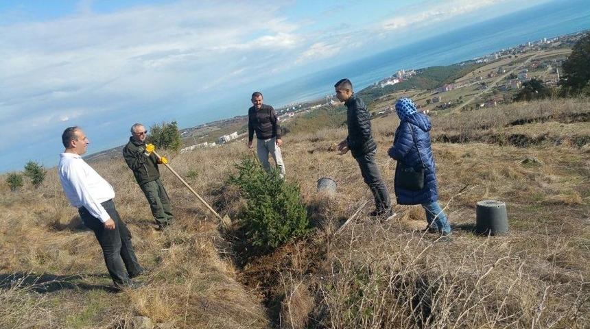 Mete Kalkavan Babasının Anısına Ağa&ccedil; Dikti