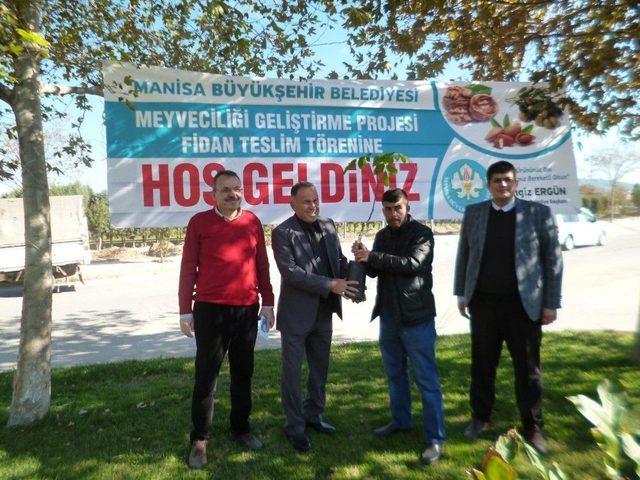 Manisa B&uuml;y&uuml;kşehir&rsquo;in Fidan Dağıtımları S&uuml;r&uuml;yor 1