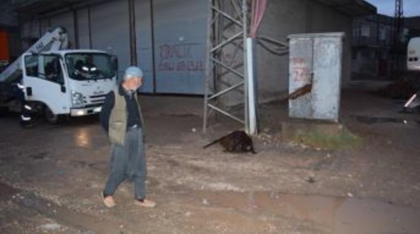 Akıma Kapılan Ke&ccedil;i Telef Oldu