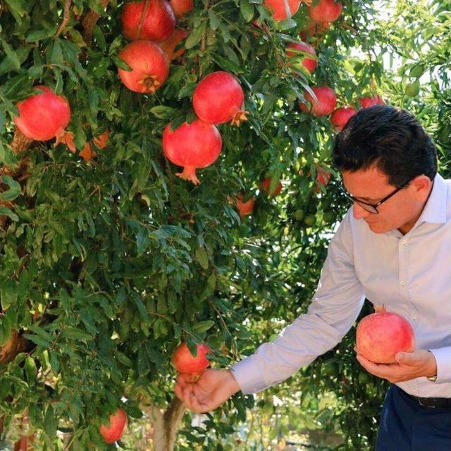 Uslu, Döşemealtı İlçe Teşkilatıyla Bir Araya Geldi