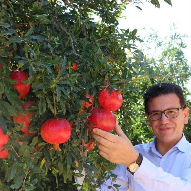 Uslu, Döşemealtı İlçe Teşkilatıyla Bir Araya Geldi