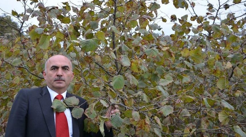 G&uuml;lal: &ldquo;fındık &Uuml;reticisinin Sadece Fındıkla Ge&ccedil;inmesi S&ouml;z Konusu Değil&rdquo;