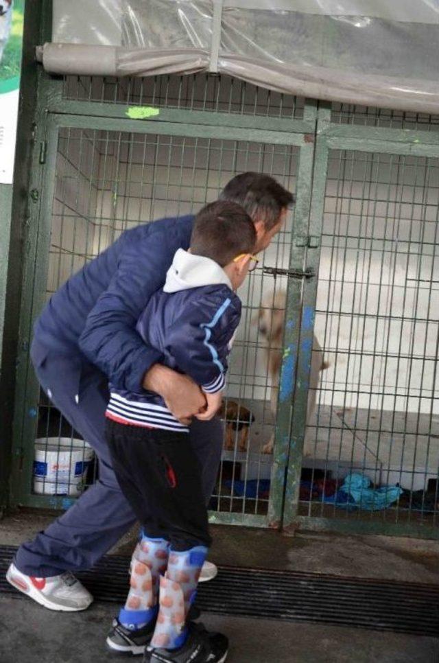 16 Yaşında İlk Kez K&ouml;peğe Dokundular 1