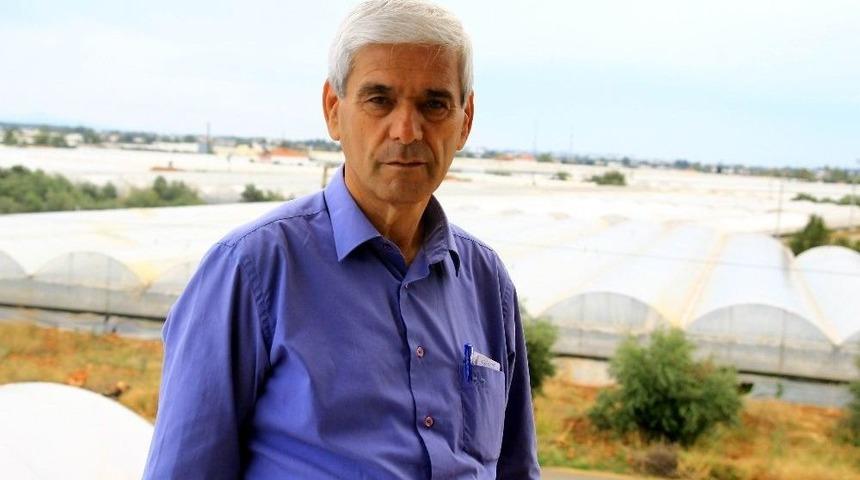 Domateste Rusya Sevincine &lsquo;g&uuml;ve&rsquo; G&ouml;lgesi