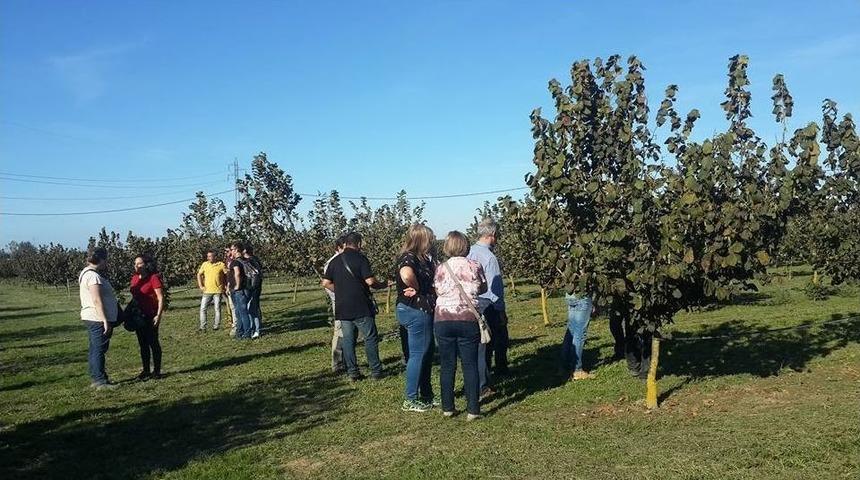Ordu Heyeti İspanya&rsquo;nın Fındık Tarımını İnceledi