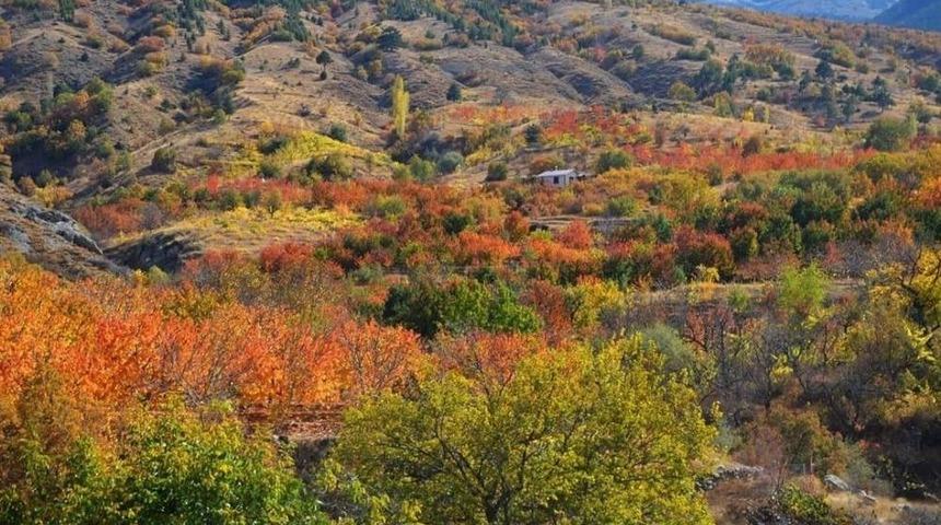 Yaprakların Sonbahardaki Renk C&uuml;mb&uuml;ş&uuml;