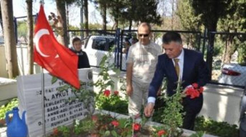 Balıkesirli Şehit Aileleri 13. Zeytin Hasat G&uuml;nleri&rsquo;ne Katılıyor