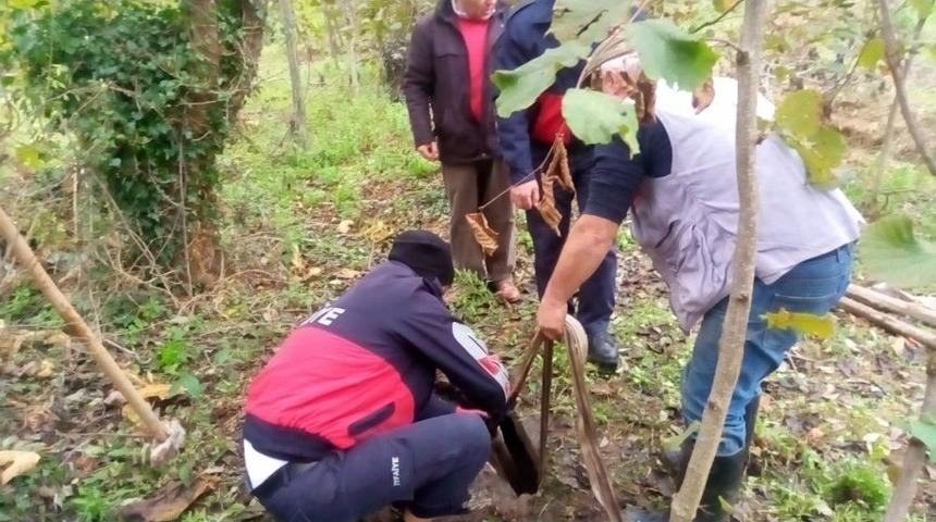 Fosseptik &Ccedil;ukuruna İneğe Kurtarma Operasyonu